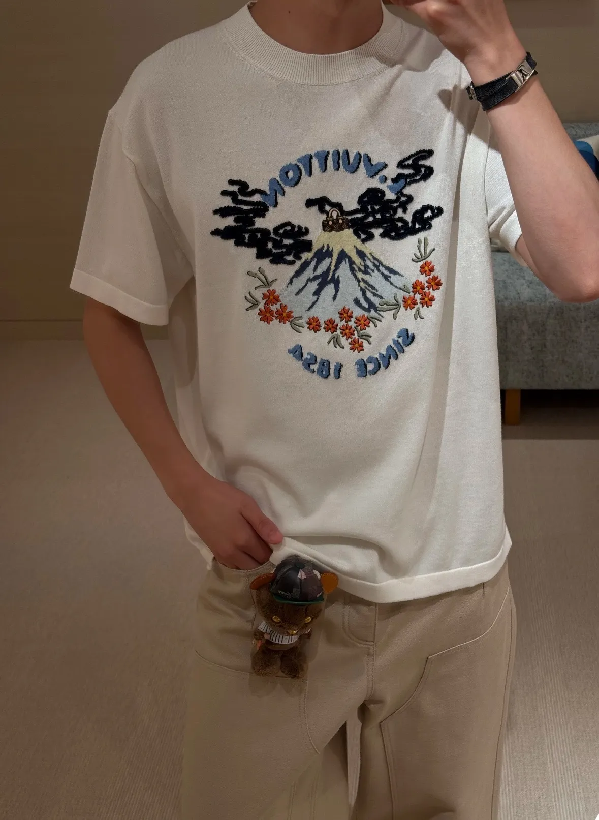 Model picture